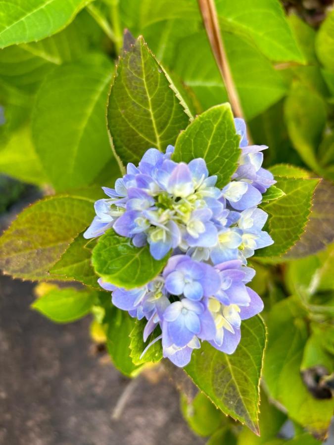 Ceu Azul Pousada 塞古罗港 外观 照片